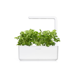 Herb Garden Bundle