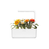 Flower Garden Bundle