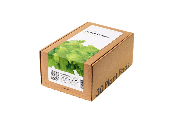 Green Lettuce 30-pack