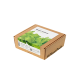 Green Lettuce Plant Pods 9-pack