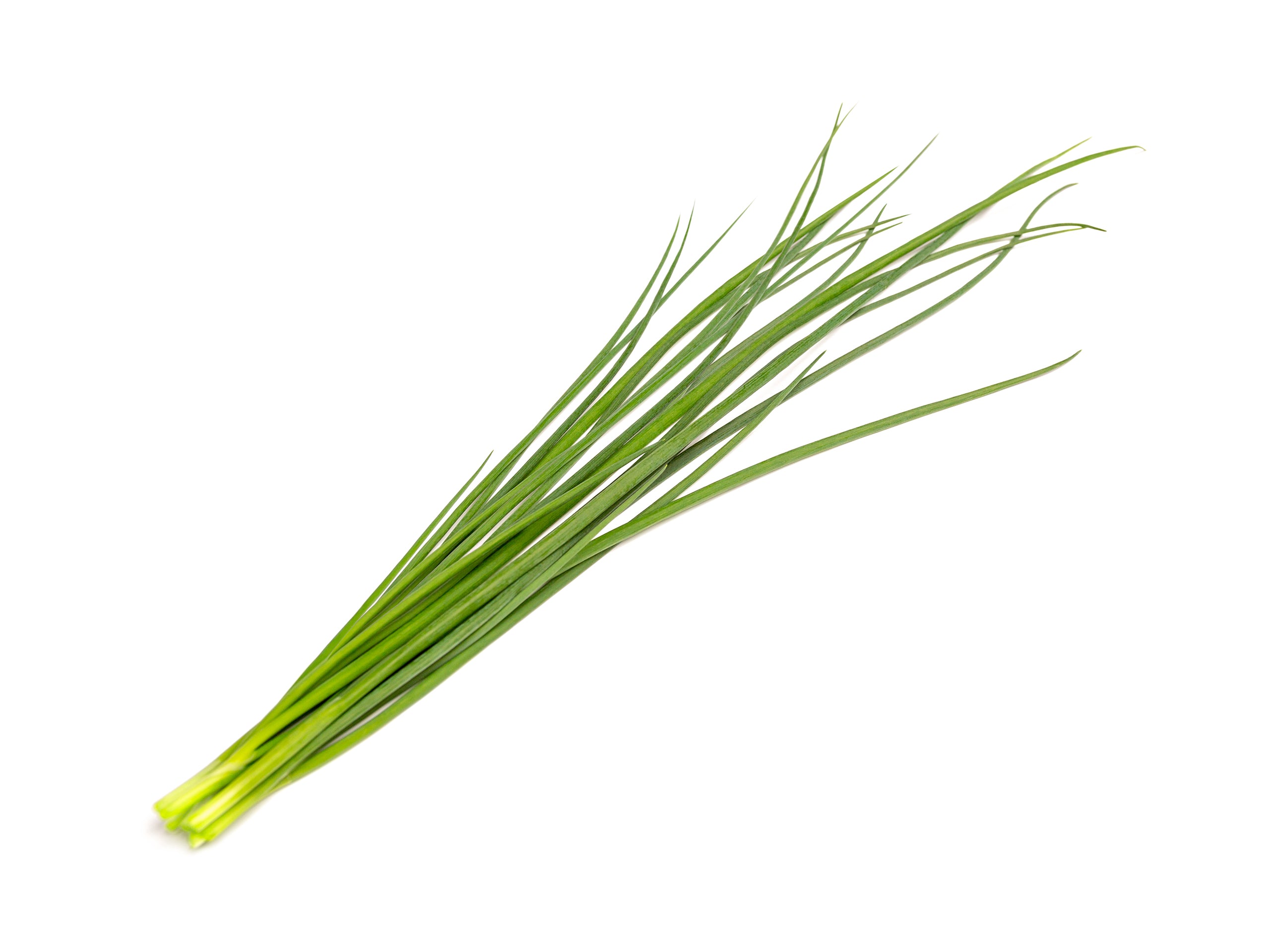 Green Onion Plant Pods | Click & Grow