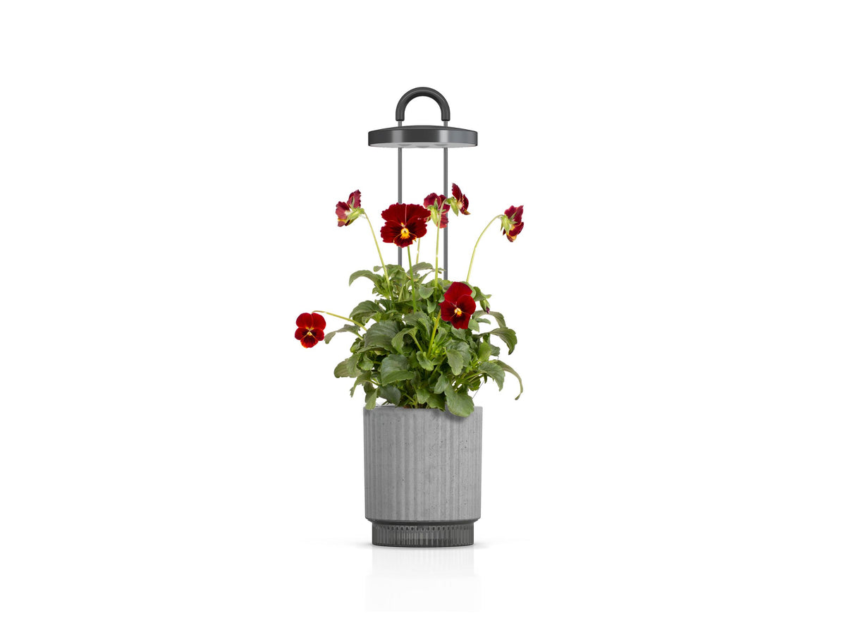 Best Gift Under $100 / Best Gift Under $100