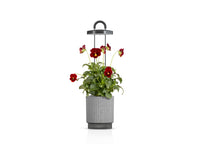 Best Gift Under $100 / Best Gift Under $100