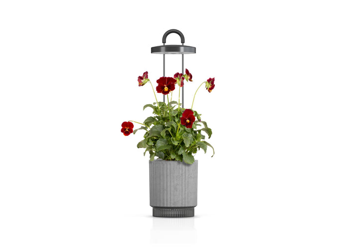 Best Gift Under $100 - Grey