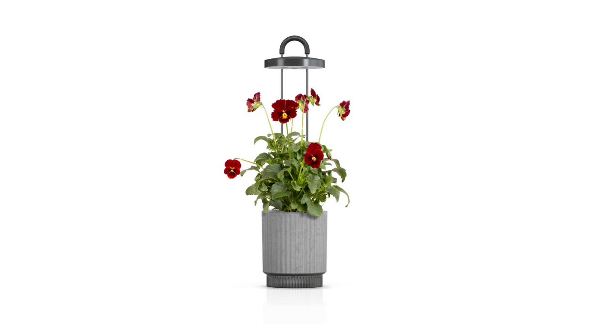HydroVase by Ermonix / HydroVase by Ermonix