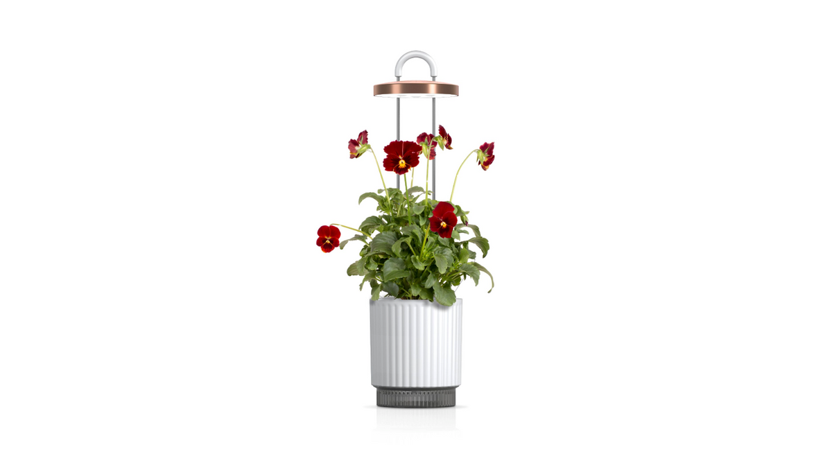 HydroVase by Ermonix / HydroVase by Ermonix