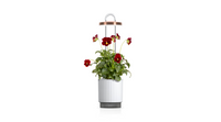 HydroVase by Ermonix / HydroVase by Ermonix