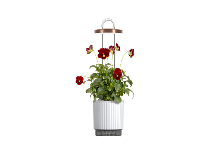 Best Gift Under $100 - White