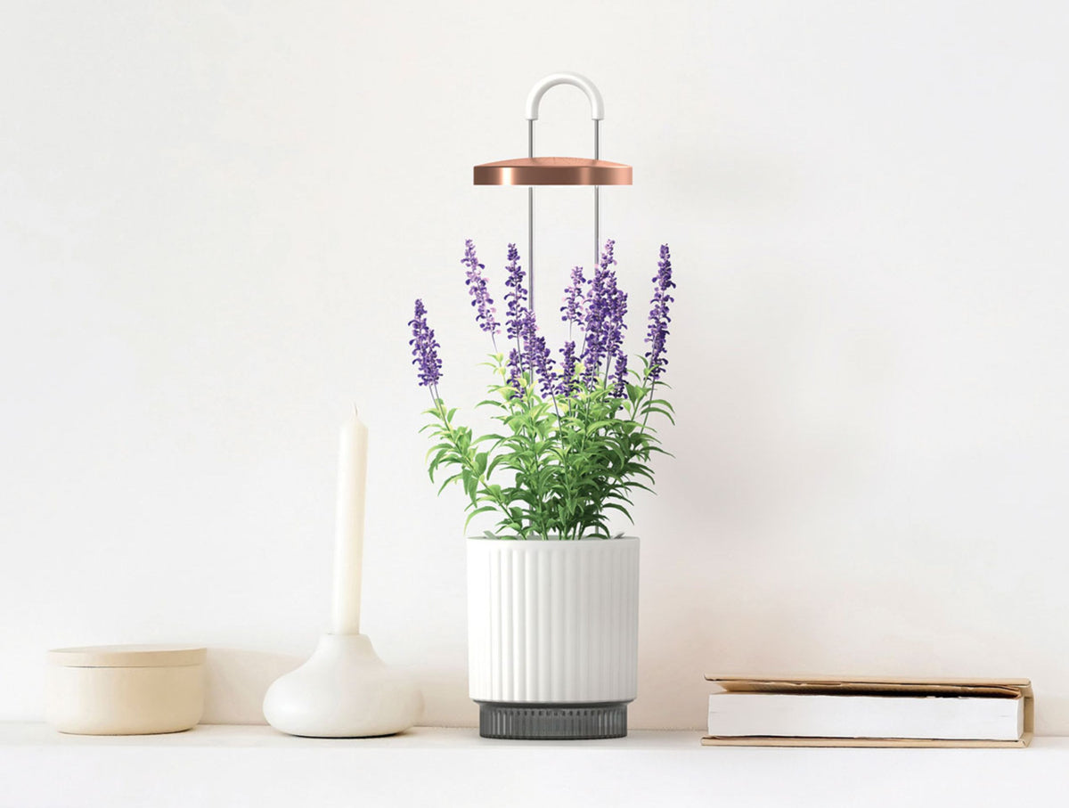 Best Gift Under $100 / Best Gift Under $100