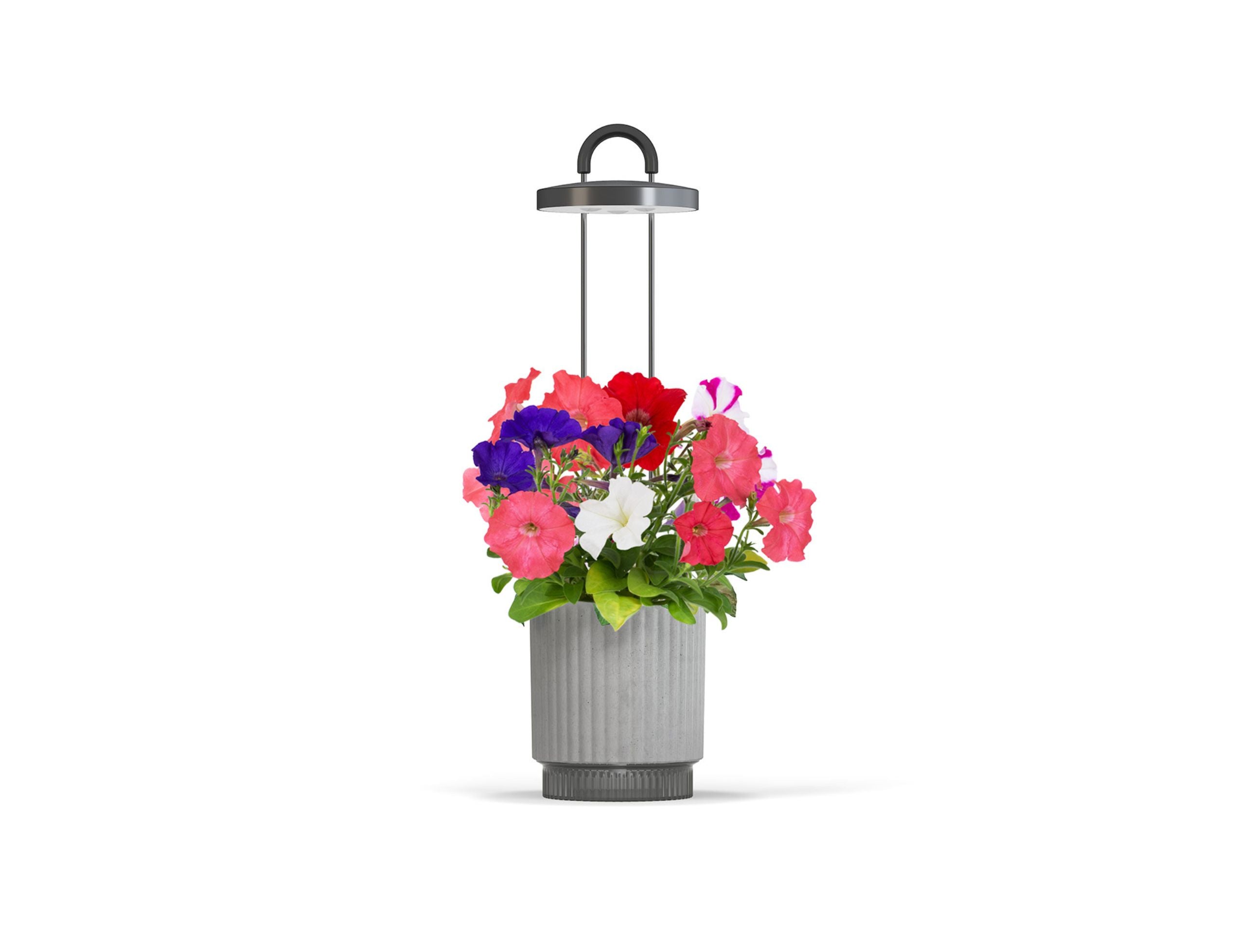 HydroVase by Ermonix