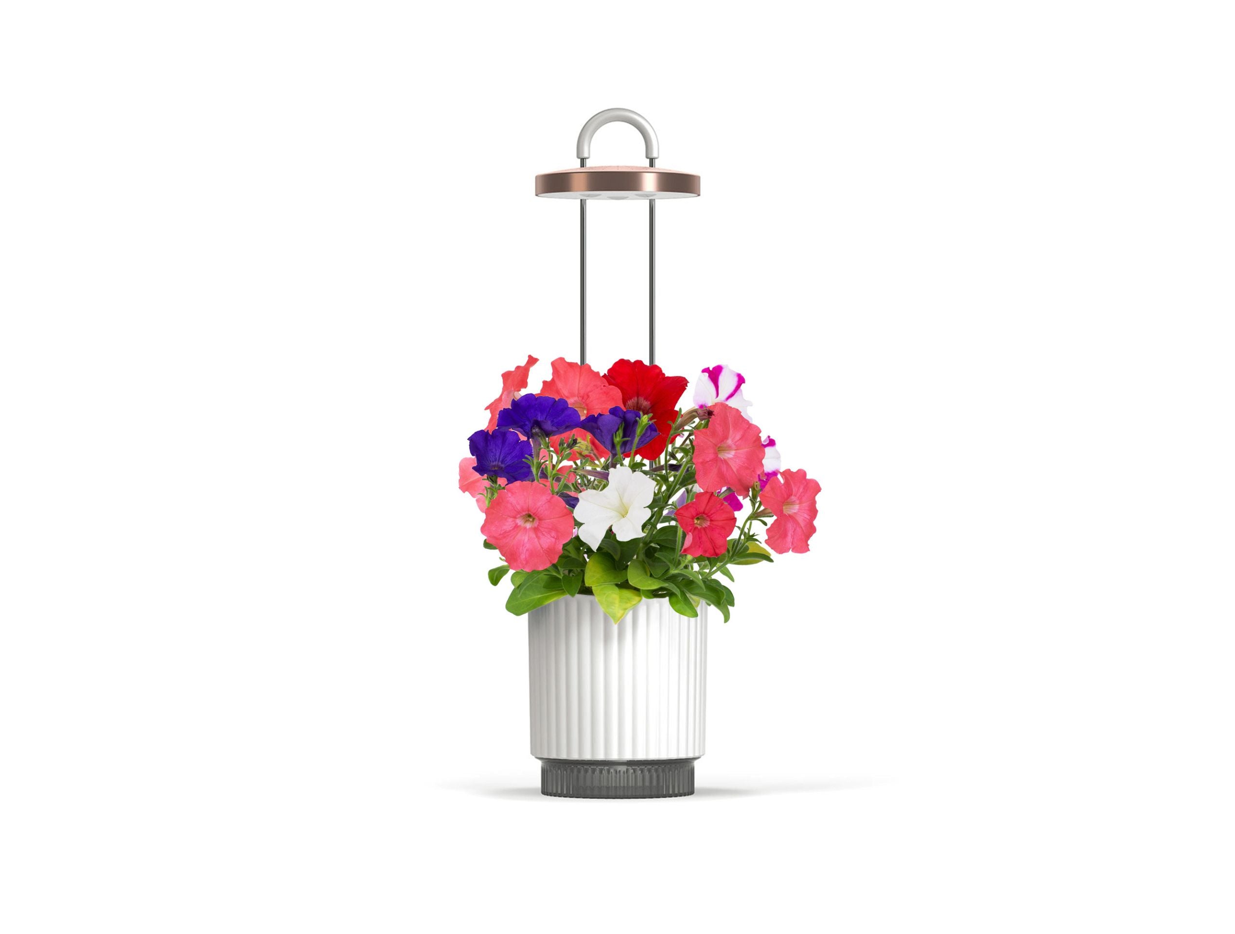 HydroVase by Ermonix