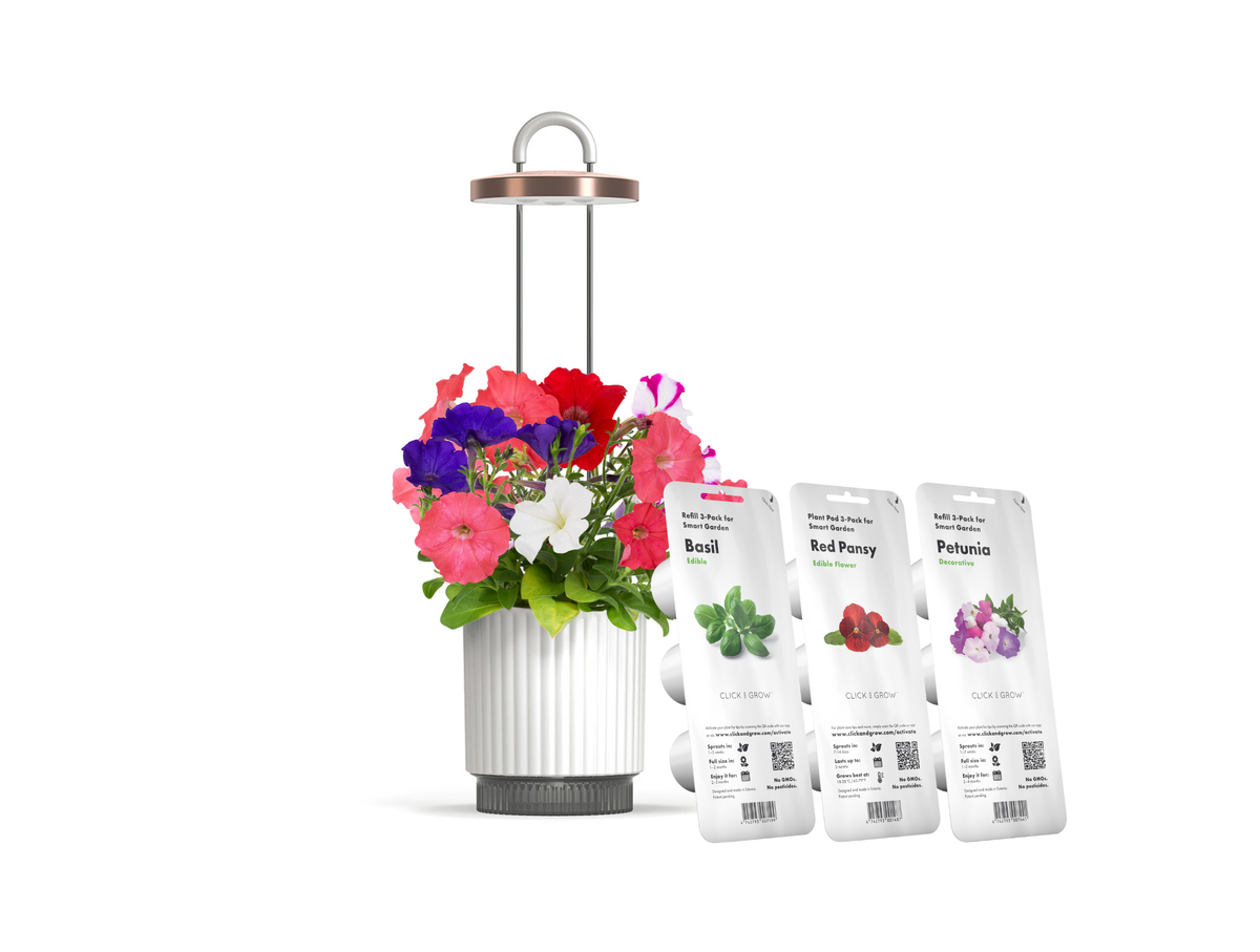 Best Gift Under $100 / Best Gift Under $100