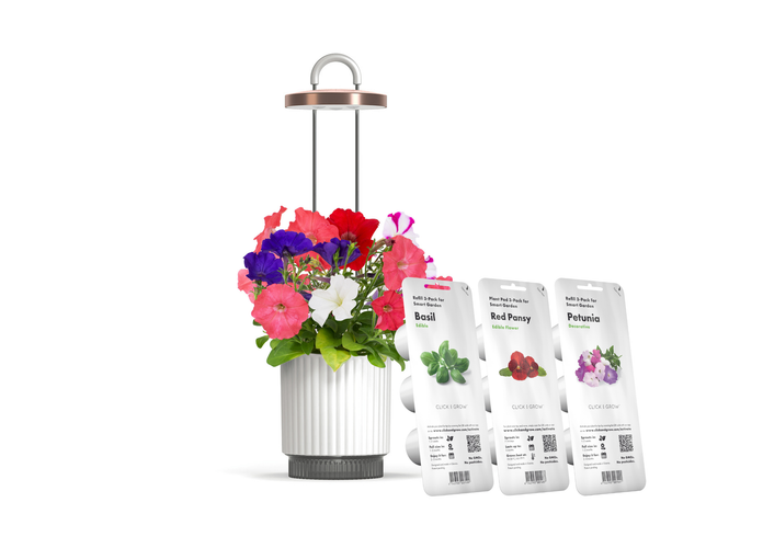 Best Gift Under $100