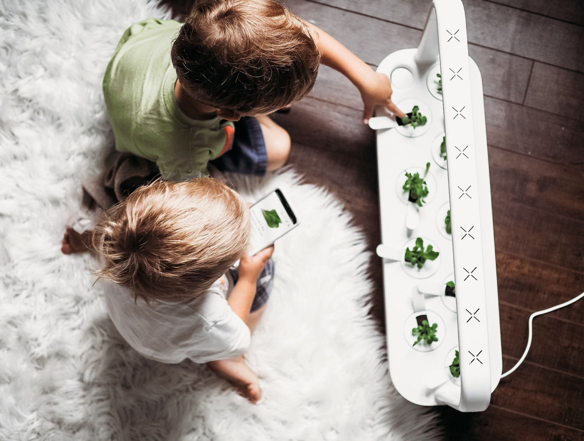 The Smart Garden 9 / The Smart Garden 9