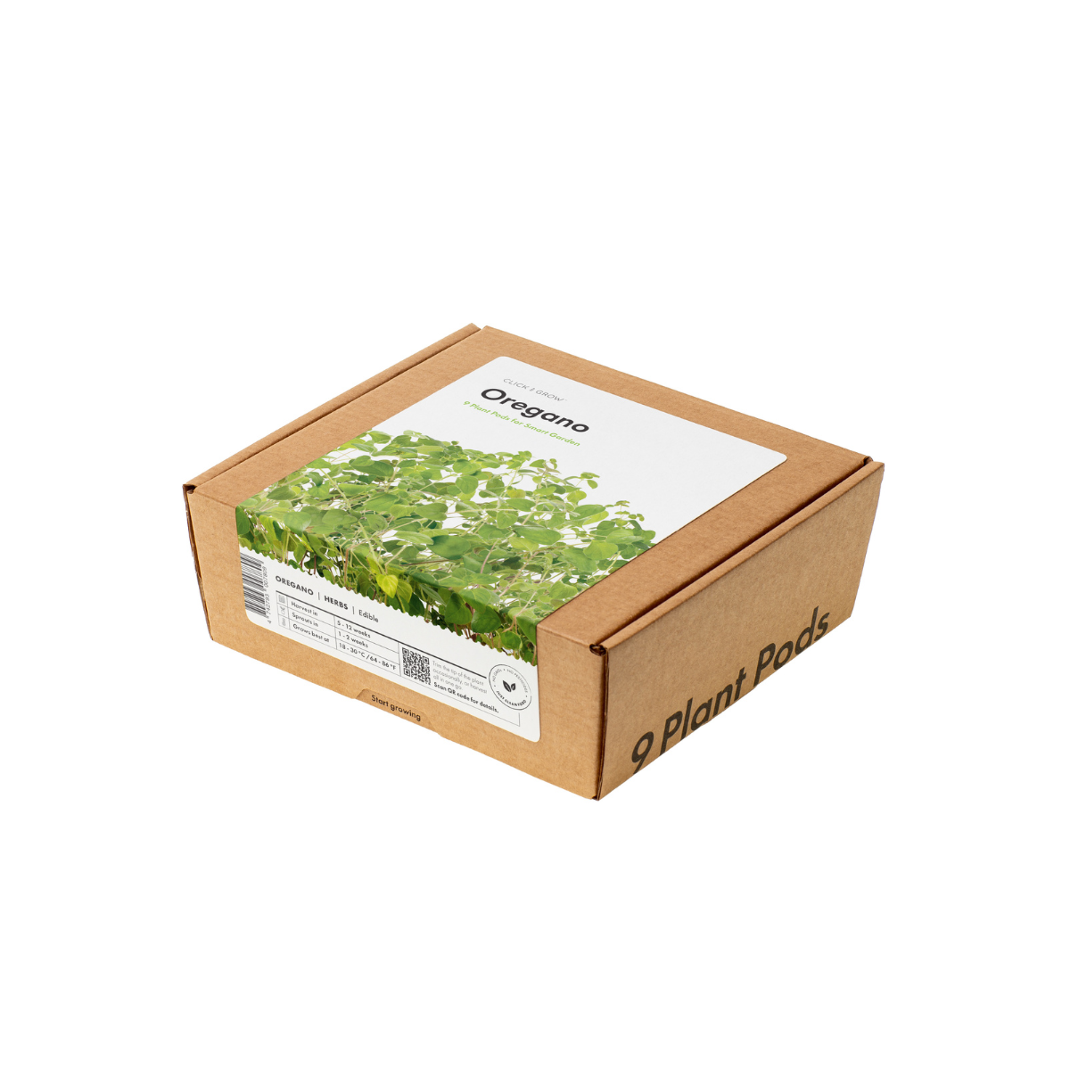 plant oregano seeds Oregano Plant Pods