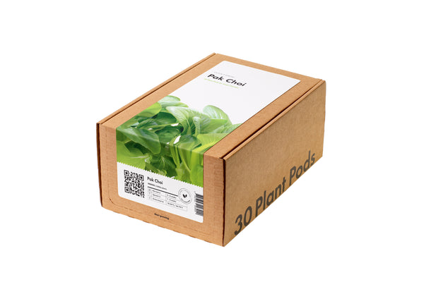 Pak Choi 30-pack