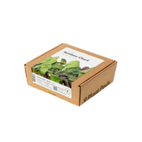 Rainbow Chard Plant Pods 9-pack