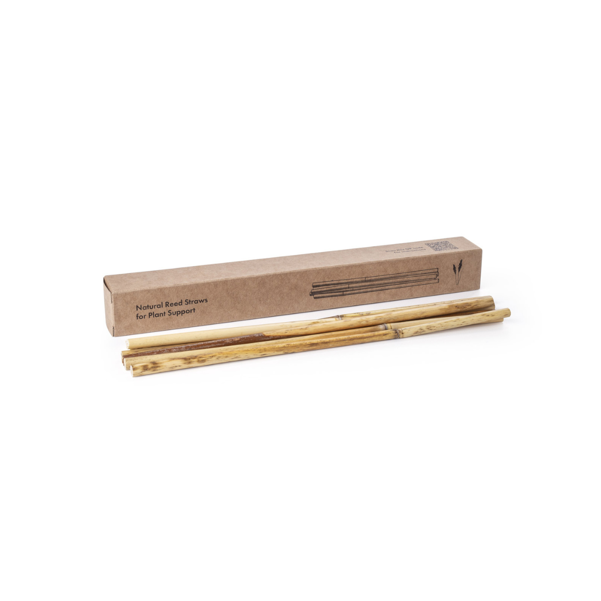 Natural Reed Straws