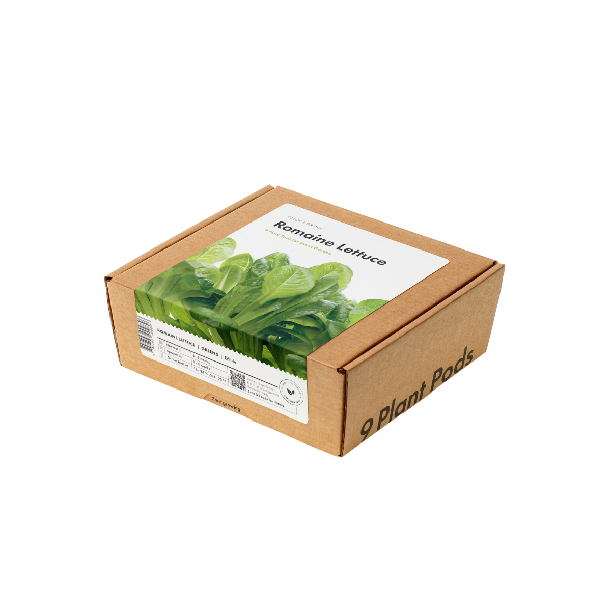 plant romaine lettuce seeds Romaine Lettuce Plant Pods