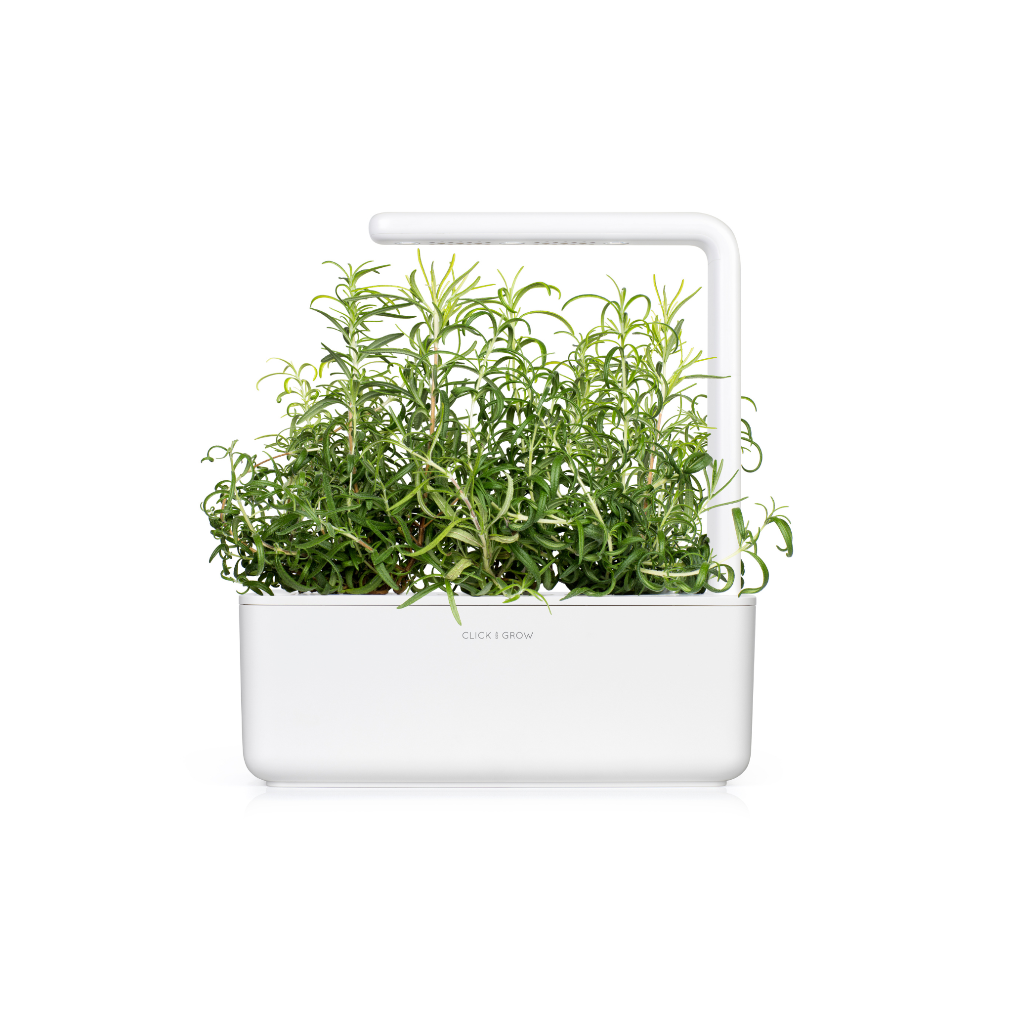 Herb Garden Bundle