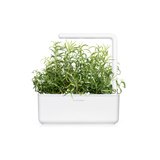 Herb Garden Bundle