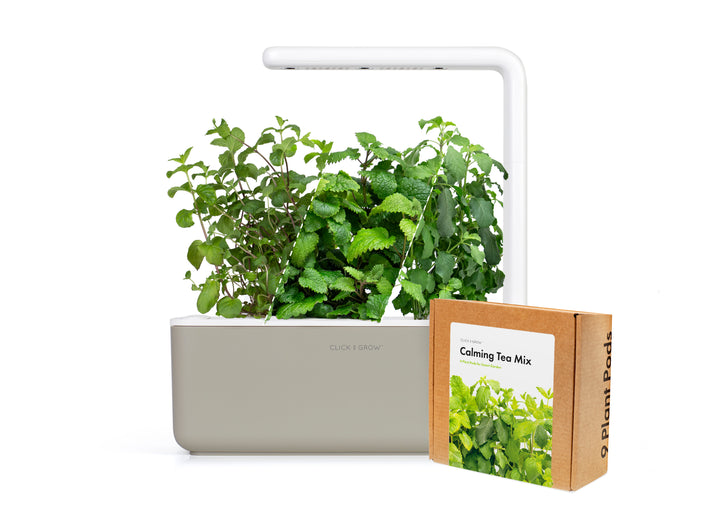 Small "Herbal Tea" Kit