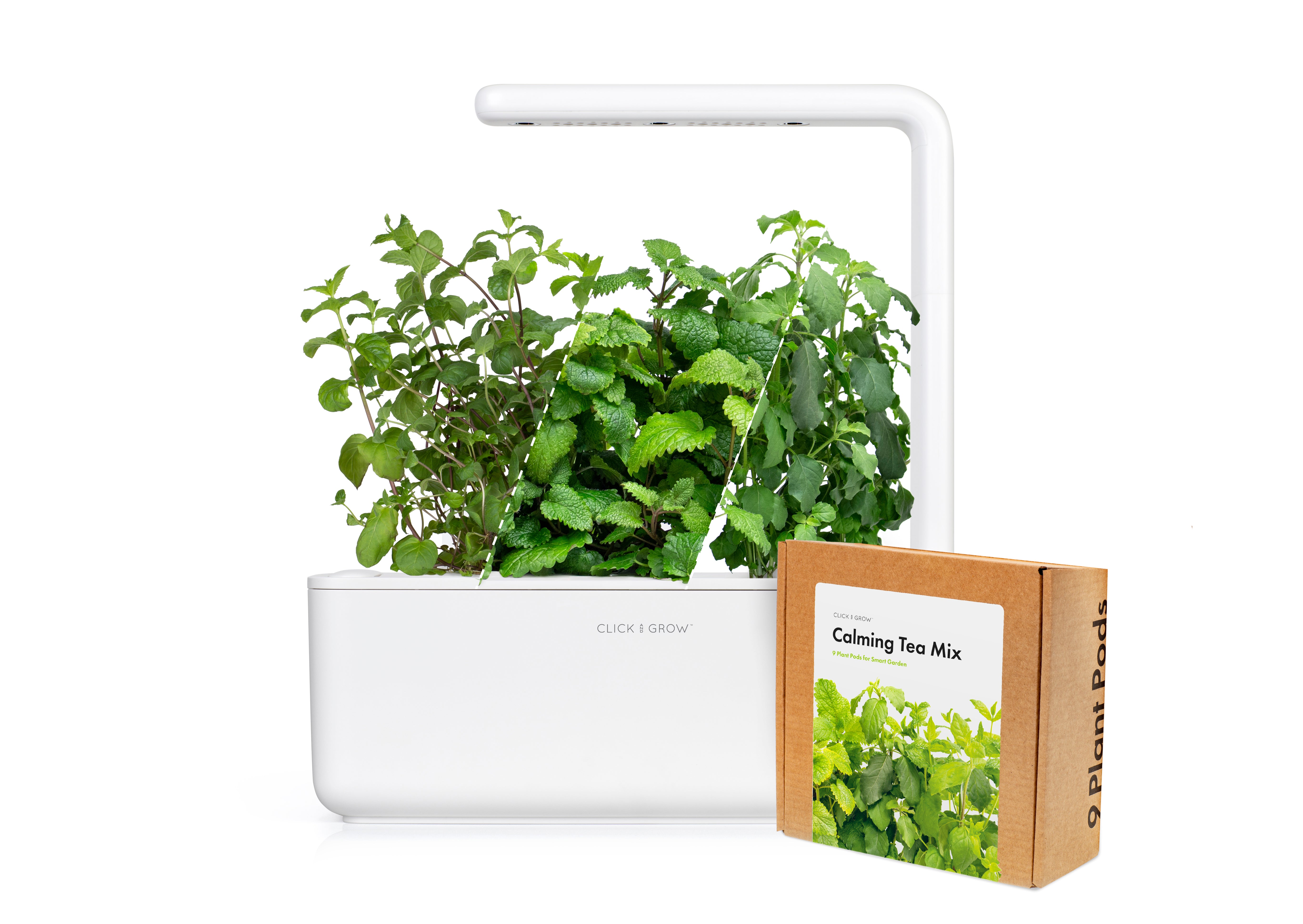 hydroponic tea plants Small Herbal Tea Kit White