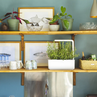 The Smart Garden 3 / The Smart Garden 3