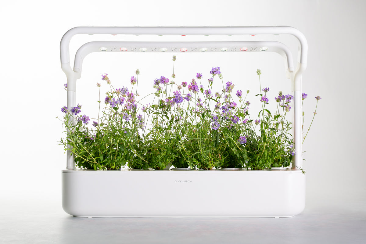 Supernova - Smart Garden 9 Upgrade Kit / Supernova - Smart Garden 9 Upgrade Kit