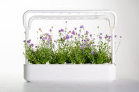 Supernova - Smart Garden 9 Upgrade Kit / Supernova - Smart Garden 9 Upgrade Kit