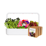 Big "Vibrant Flower" Kit