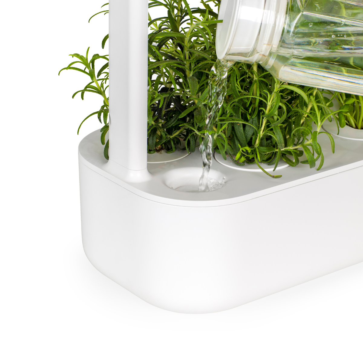 Smart Garden 9 Float – Click & Grow Smart Garden 9 Float – Click & Grow