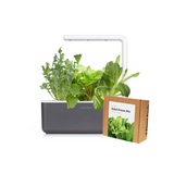 Small "Salad Greens" Kit
