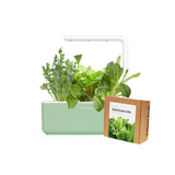 Small "Salad Greens" Kit