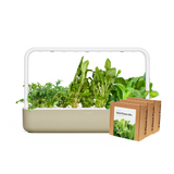 Big "Salad Greens" Kit