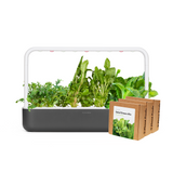 Big "Salad Greens" Kit