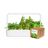 Big "Salad Greens" Kit