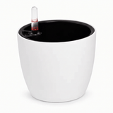 Self Watering Pot