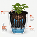 Self Watering Pot