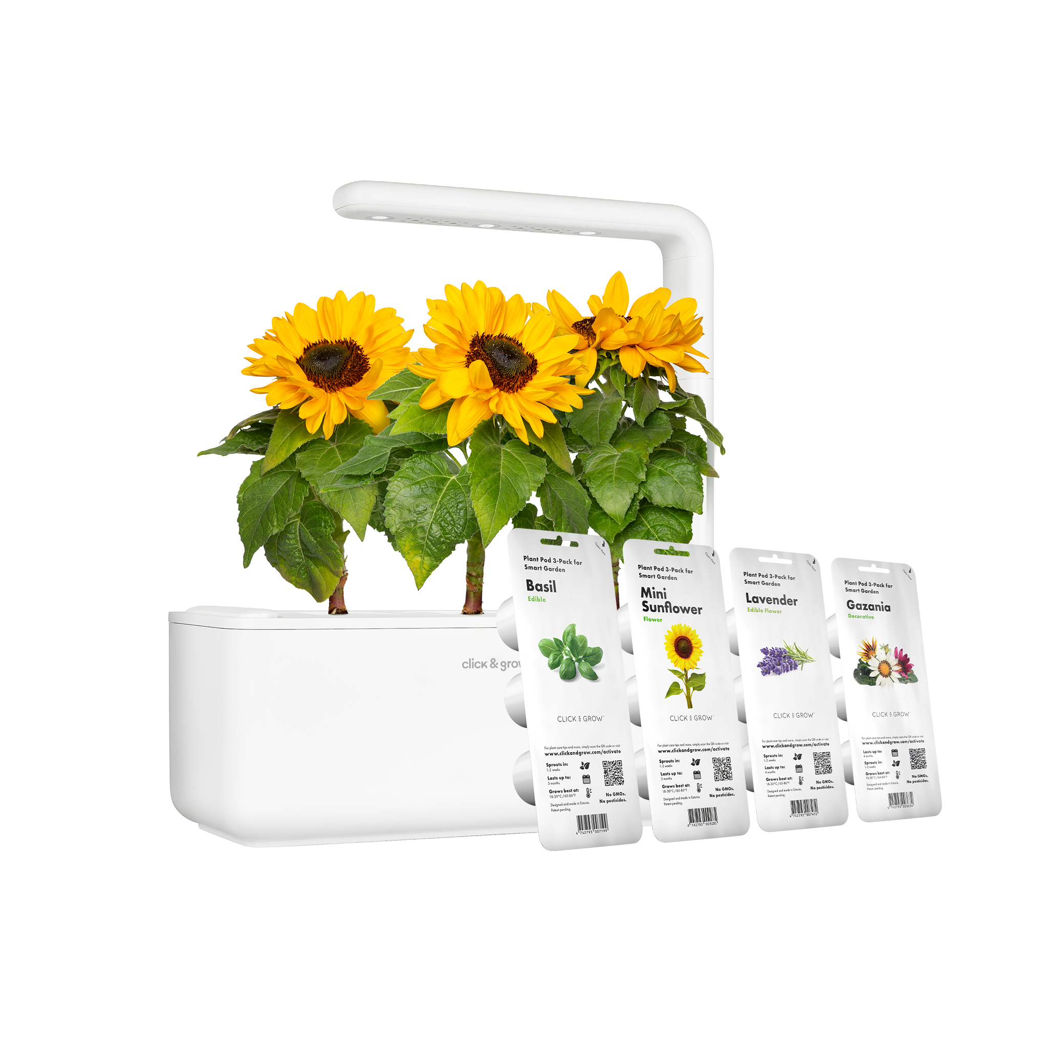 Flower Garden Bundle