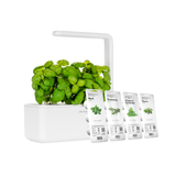 White indoor garden with green plants and packets of herbs on a white background