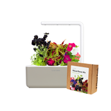 Small "Vibrant Flower" Kit