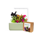 Small "Vibrant Flower" Kit