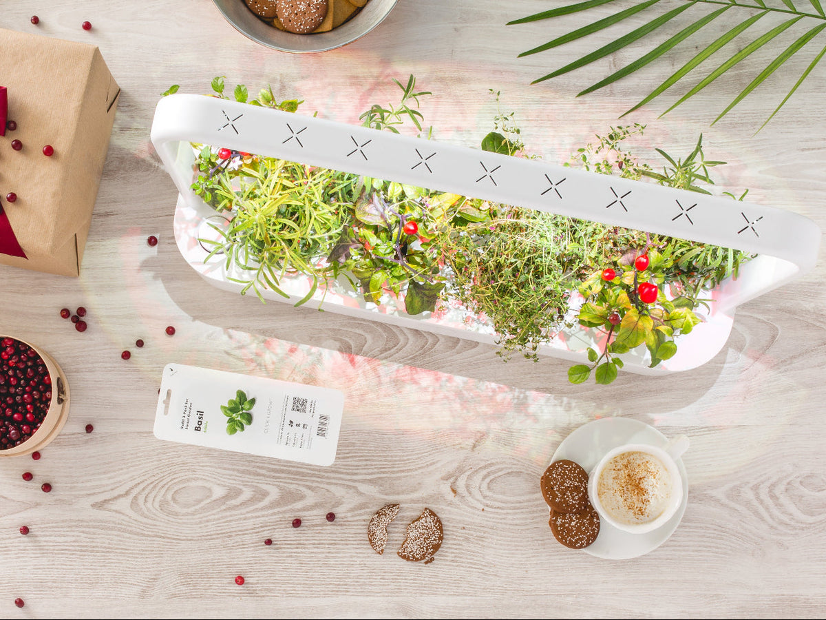 Best Gift Under $200 / Packaged salad with a gift box and decorative elements on a wooden surface