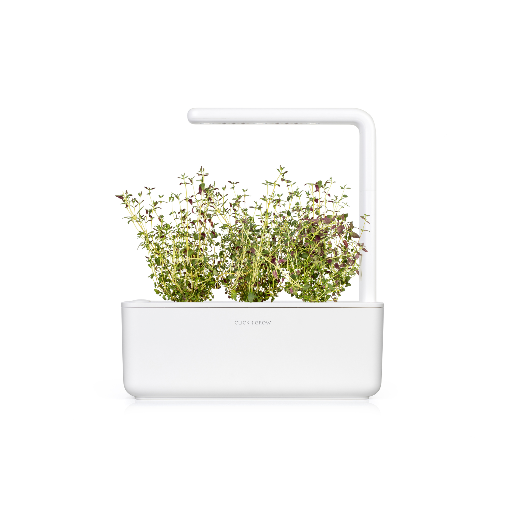 Herb Garden Bundle