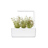Herb Garden Bundle