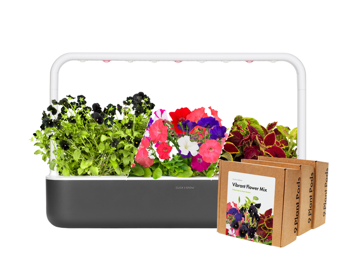 Big "Vibrant Flower" Kit