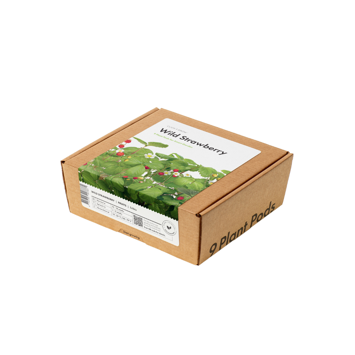 best strawberry seeds to buy Wild Strawberry Plant Pods