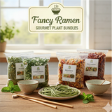 Fancy Ramen Mix