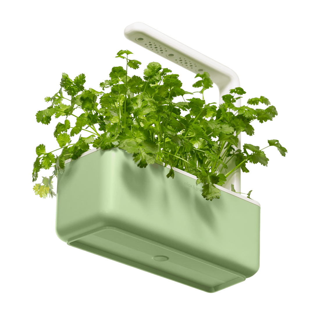 Indoor Herb Gardens and Indoor Gardening Kits | Click & Grow